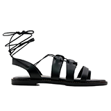 Ligglo Category Icon